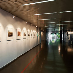 Galeria de arte
